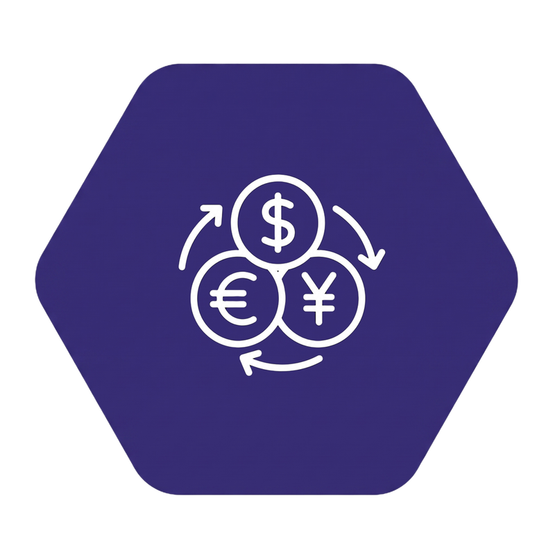 2026-09-01 Currency icon (no back)