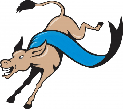 How the Story of Buridan’s Ass Helped Our Marketing Strategy