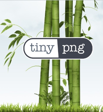 tiny png logo